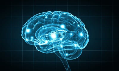 AI as the Brain Behind Growth
