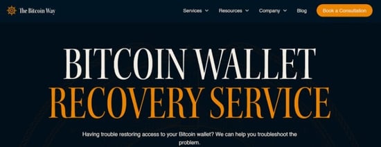 The Bitcoin Way Wallet Recovery Service
